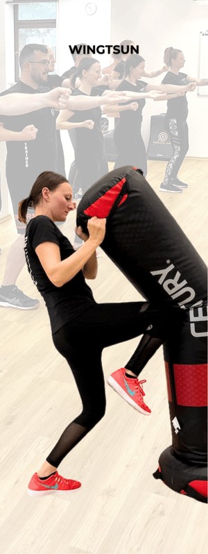 Das WingTsun Trainingsangebot von So geht WingTsun